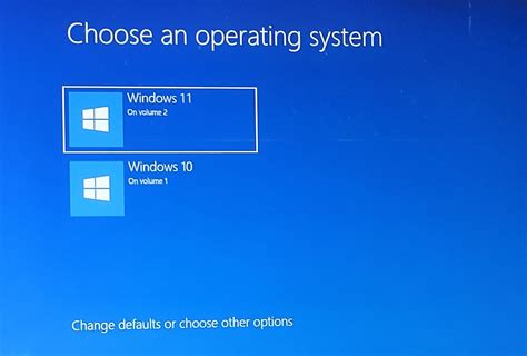 dual boot windows 10